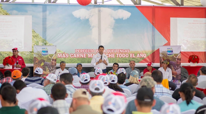 Agroservicios Sula capacita a los ganaderos en el ensilado de maíz