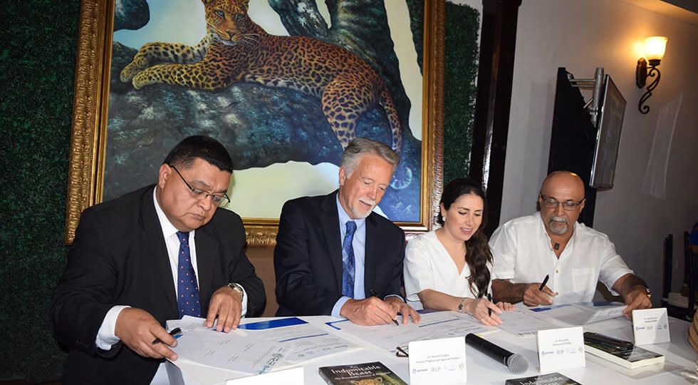 Lacthosa une esfuerzos para la protección del jaguar en Honduras
